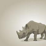 Brown Rhino - Illustrated P..