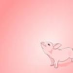 Pink Baby Pig - Digitally I..