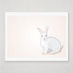 Spring Easter Bunny Rabbit ..