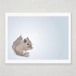 Baby Squirrel on Blue - Ill..