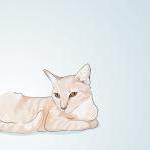 Peach Tabby Cat - Blue Illu..
