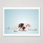 Boxer Puppy - Dog Portrait ..