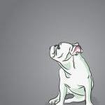 Mini English Bulldog Portra..