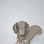 Mini Dauschund Dog Portrait..