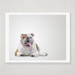 Humphrey the Bulldog - Illu..
