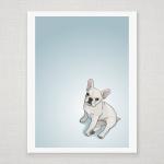 White French Bulldog Puppy..
