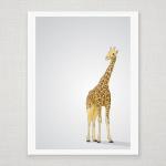 Yellow and Brown Giraffe - ..