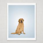 Golden Retriever Dog Portra..