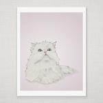 White Persian Cat On Pink ..
