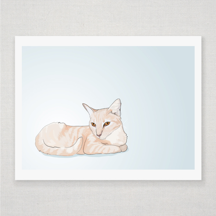 Peach Tabby Cat - Blue Illustrated Print - 8 x 10 Archival Matte Print