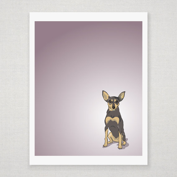 Chili the Mini Pinscher - Dog Illustration - 8 x 10 Print