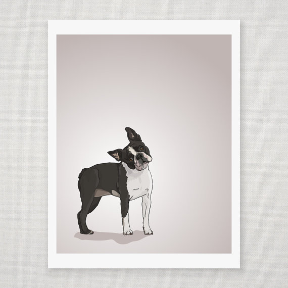 Boston Terrier Dog Portrait - Illustrated Print - 8 x 10 Archival Matte