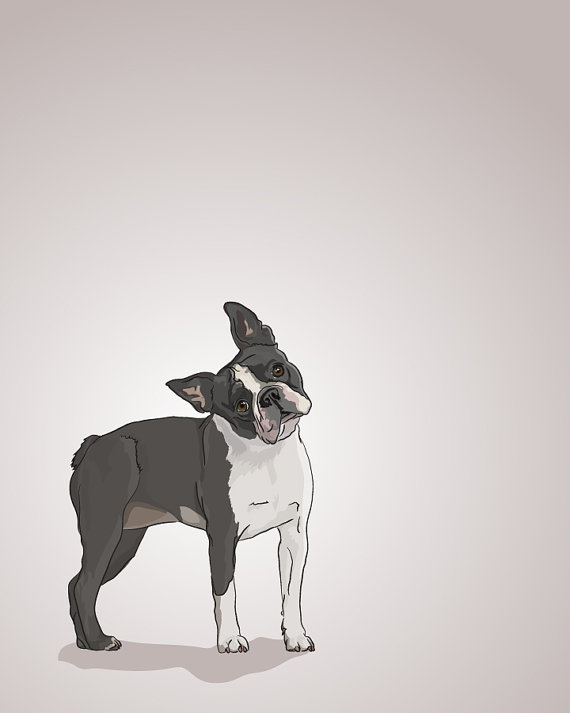Boston Terrier Dog Portrait Illustrated Print 5 X 7 Archival Matte