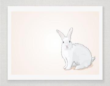Spring Easter Bu..